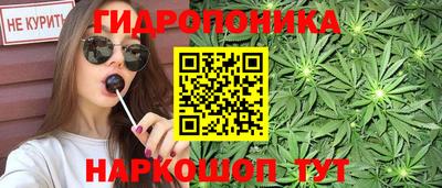 PSILOCYBIN Балахна