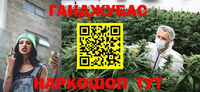 PSILOCYBIN Балахна