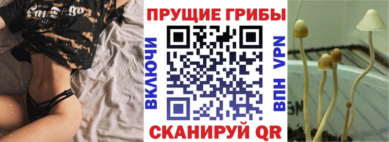 Галлюциногенные грибы мухоморы  Богданович 