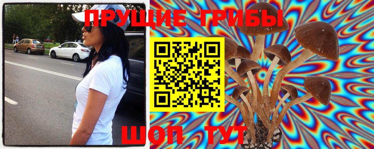 Псилоцибиновые грибы Magic Shrooms  Богданович 