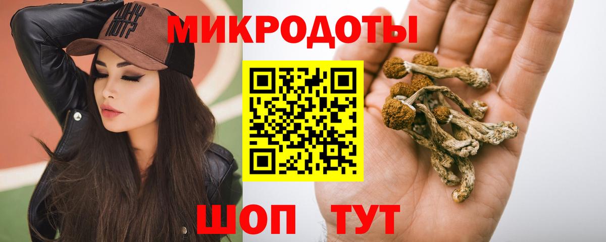 Галлюциногенные грибы мицелий  Вход с VPN  Богданович  что такое   Псилоцибиновые грибы мухоморы 