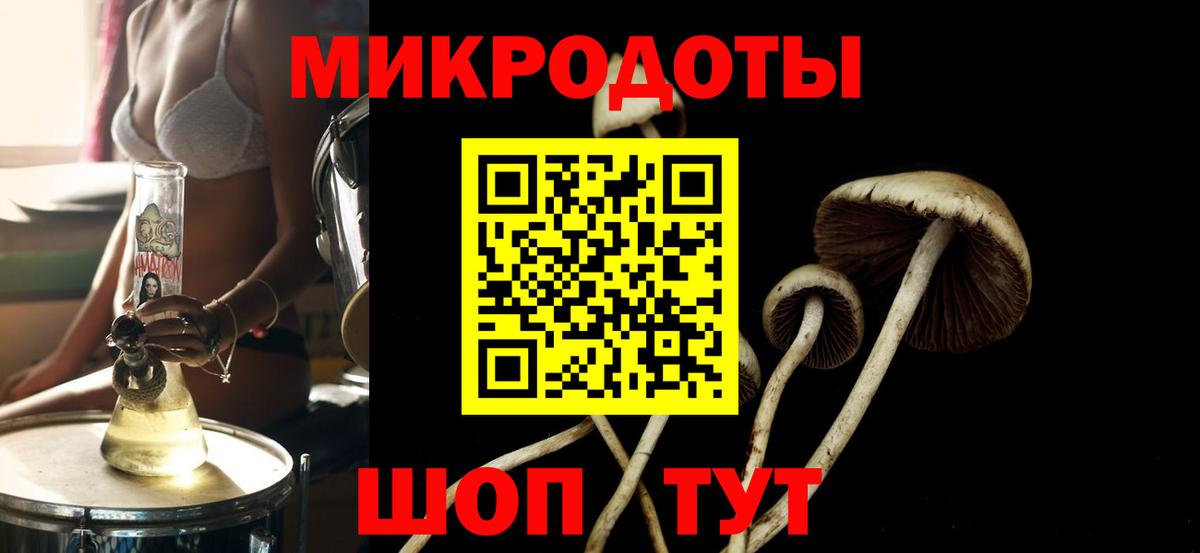 Галлюциногенные грибы мухоморы Богданович