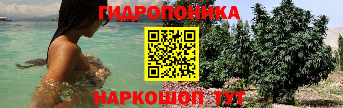 МАРИХУАНА план Богданович